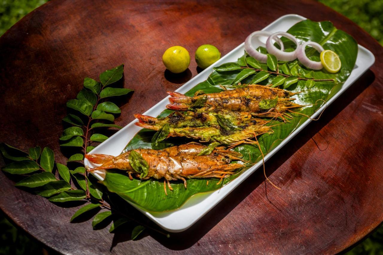 Sterling Vythiri Wayanad酒店 外观 照片